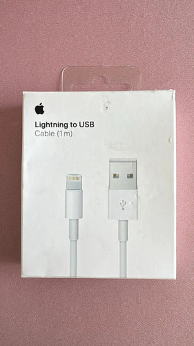 Cable De Carga Rápida Usb A A Lightning iPhone Original (2m) Blanco