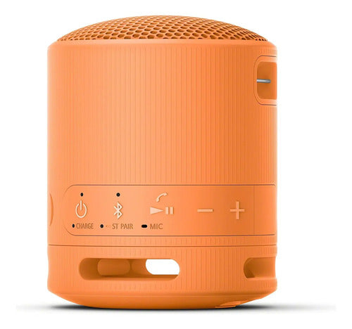 Parlante Bluetooth Portátil Impermeable Sony Srs-xb100 Naranja