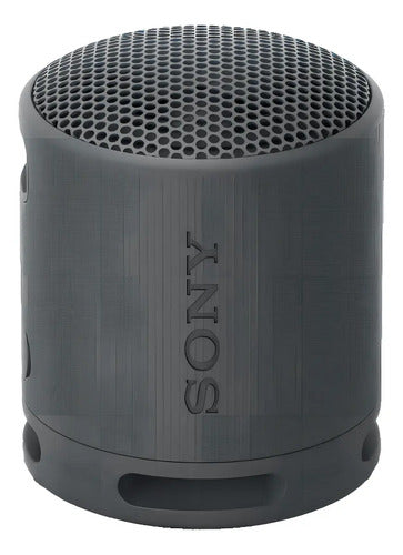 Sony Srs-xb100 Parlante De Viaje Inalámbrico Bluetooth Port Color Negro Negro