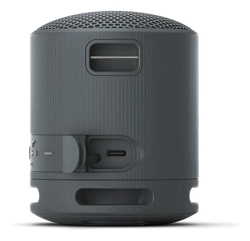 Sony Srs-xb100 Parlante De Viaje Inalámbrico Bluetooth Port Color Negro Negro