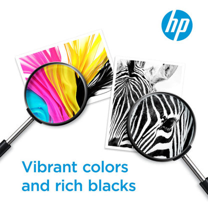 Cartucho Tricolor De Tinta Hp 64xl N9j91an De Alto Rendim...