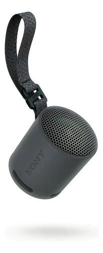 Sony Srs-xb100 Parlante De Viaje Inalámbrico Bluetooth Port Color Negro Negro