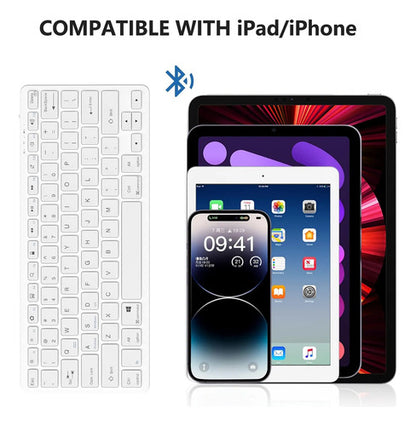 Teclado Bluetooth Taiyang Para iPad Y Dispositivos Bluetooth Blanco