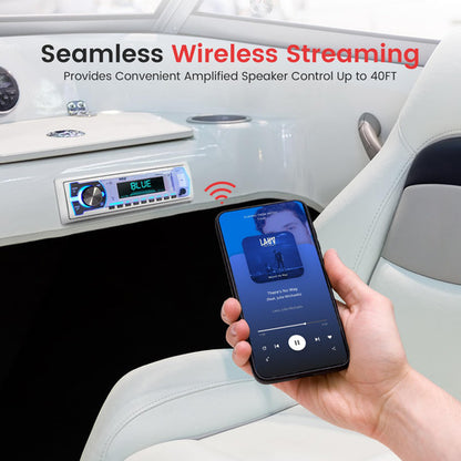 Receptor De Radio Bluetooth Para Auto Pyle Plcd43btm