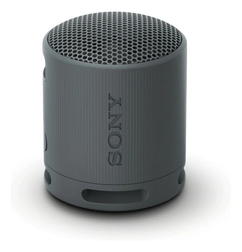 Parlante Bluetooth Sony Inalámbrico Negro
