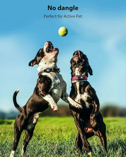 Soporte Airtag Para Collares De Perros Negro