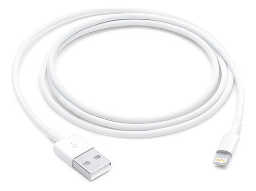Cable De Carga Rápida Usb A A Lightning iPhone Original (2m) Blanco