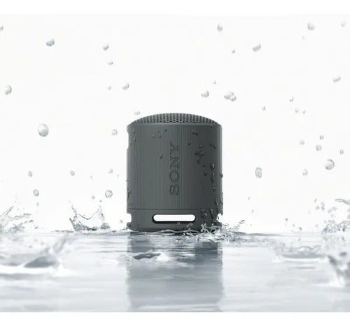 Sony Srs-xb100 Parlante De Viaje Inalámbrico Bluetooth Port Color Negro Negro