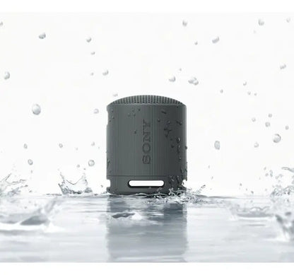 Sony Srs-xb100 Parlante De Viaje Inalámbrico Bluetooth Port Color Negro Negro