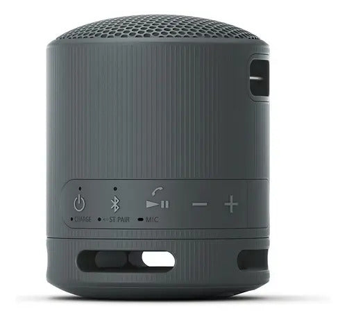 Sony Srs-xb100 Parlante De Viaje Inalámbrico Bluetooth Port Color Negro Negro