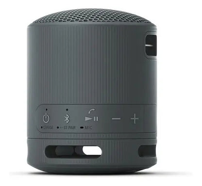 Sony Srs-xb100 Parlante De Viaje Inalámbrico Bluetooth Port Color Negro Negro