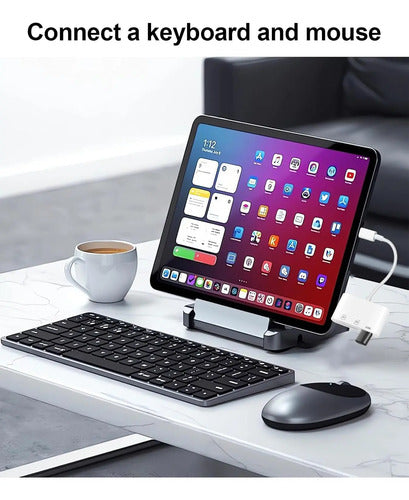 Lector De Tarjetas Usb C Para iPhone Blanco